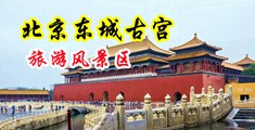 jj插逼洞洞操黄色视频中国北京-东城古宫旅游风景区